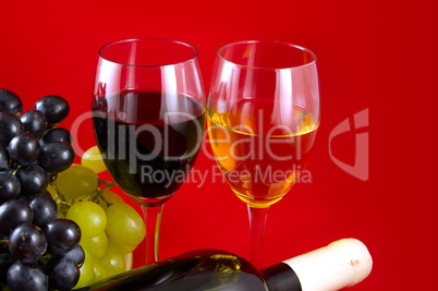 Red and white wines and grapes.