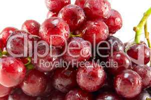 Red ripe grape