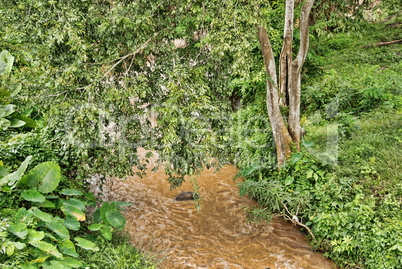 Countryside of Changmai, Thailand