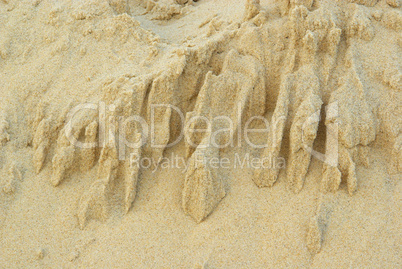 Düne Detail - dune detail 01
