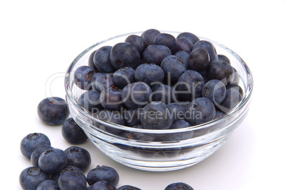 Heidelbeere - blueberry 07