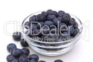 Heidelbeere - blueberry 07