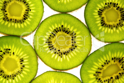 Kiwi 03