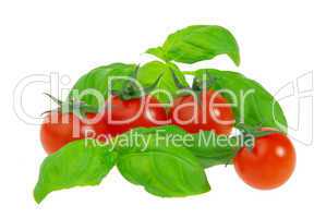 Tomate und Basilikum - tomato and basil 24