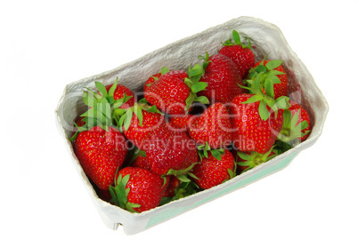 Erdbeere - strawberry 1