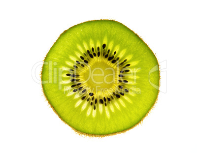 Kiwi 02