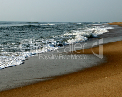 Assateague Island Shoreline