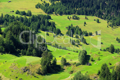 Alpen Alm - Alps pasture 01