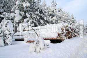 Holzstapel im Winter - stack of wood in winter 02