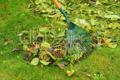 Laub harken - leaves rake 11