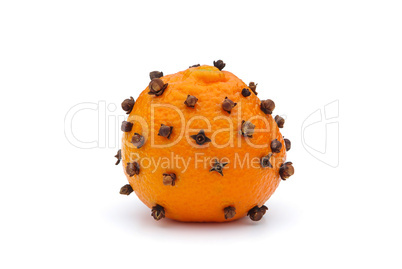 Mandarinen-Nelke - tangerines-clove 01