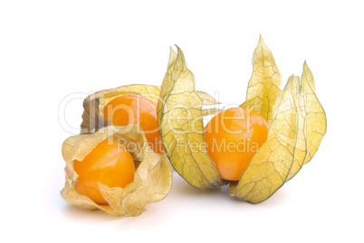 Physalis 12