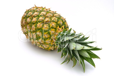 Ananas - pineapple 09