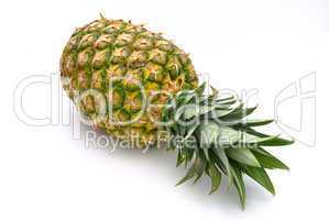 Ananas - pineapple 09