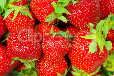 Erdbeere - strawberry 1