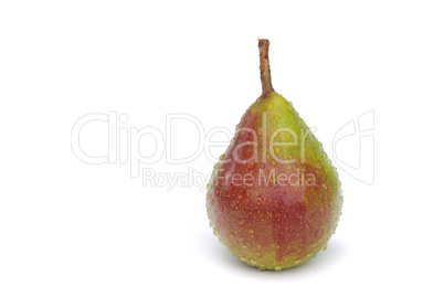 Birne - pear 10