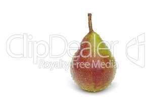 Birne - pear 10