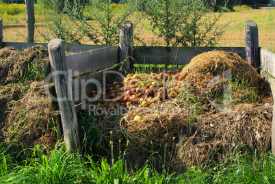 Komposthaufen - compost pile 09