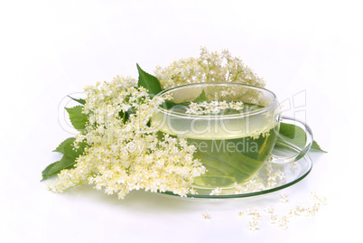 Tee Holunderblüte - tea elder flower 05