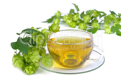 Tee Hopfen - tea hop 03