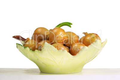 Zwiebel in Schale - onion in bowl 04