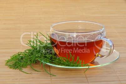 Tee Ackerschachtelhalm - tea field horsetail 03