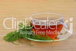 Tee Ackerschachtelhalm - tea field horsetail 03