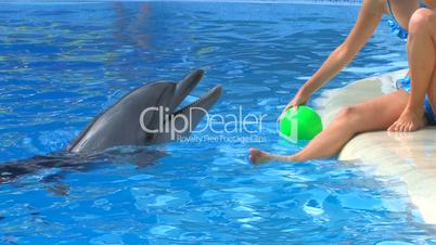 HD A young woman playing ball with smiling dolfins, closeup