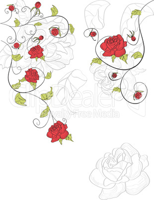 Background with red roses flowers
