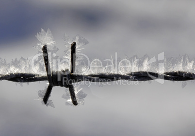 Stacheldraht im Winter mit Eisgebilden - Barbed wire with ice crystals