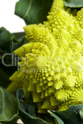 Detail eines Romanesco-Kohls