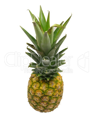 Ananas Ananas