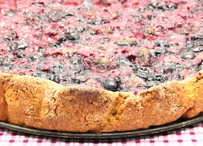 Beerenkuchen auf karierter Tischdecke