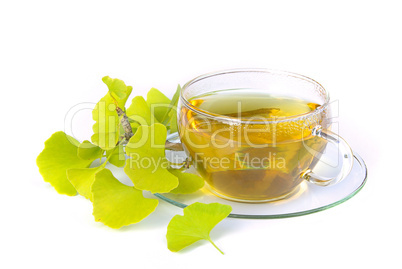 Tee Ginkgo - tea ginkgo 01