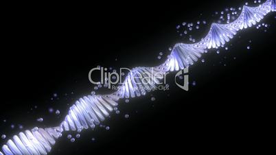3D DNA HD1080