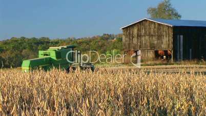 Combine Harvesting Soybeans 05