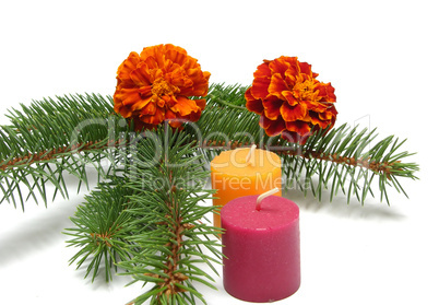A single twig of fir with candles and marygold