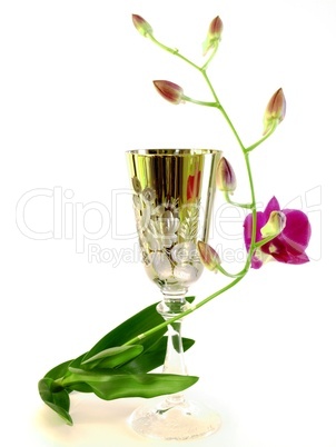 Orchidee mit Kelch