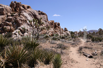 Hiking Trail