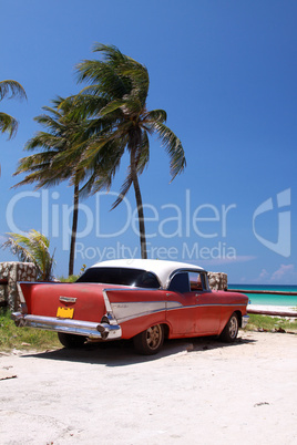 Car and Palm on the beach