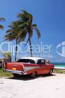 Car and Palm on the beach