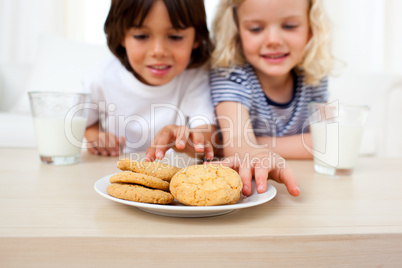 Adorable siblings eating biscuits