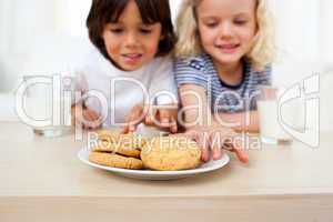 Adorable siblings eating biscuits