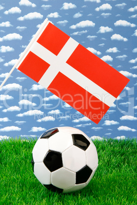 Fußball Dänemark