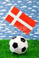 Fußball Dänemark