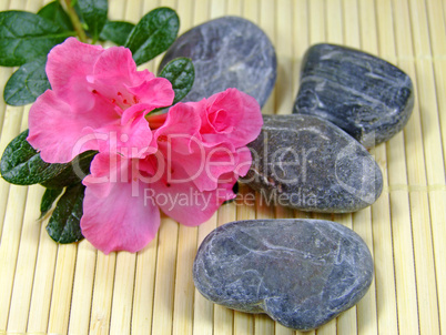 Steine mit Blüten
