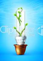 Luminous Bulb With Plant