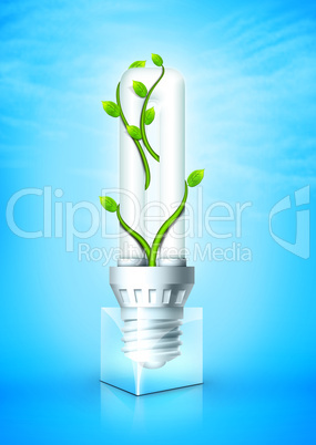 Luminous Bulb With Plant