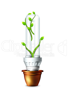 Luminous Bulb With Plant