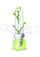 Luminous Bulb With Plant